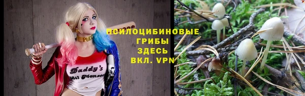 бошки Балахна