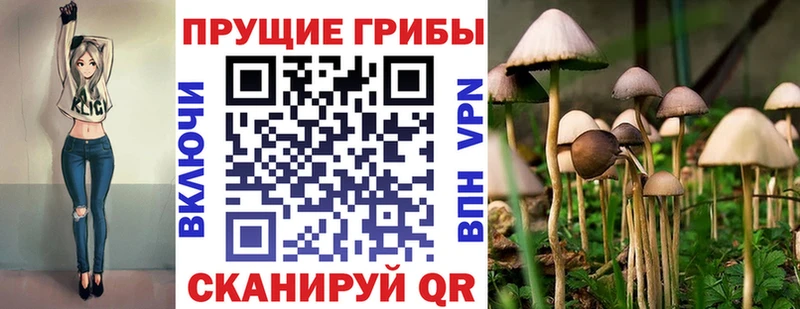 Псилоцибиновые грибы мухоморы  Тайга 